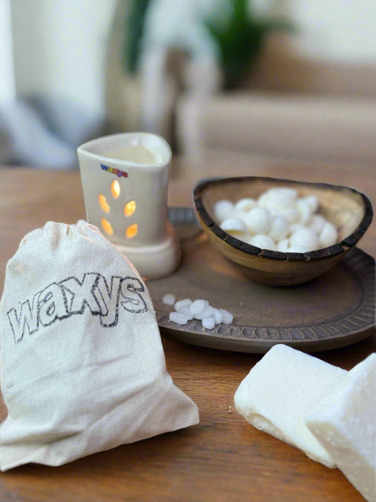 Waxys wax melter with camphor scented wax melts